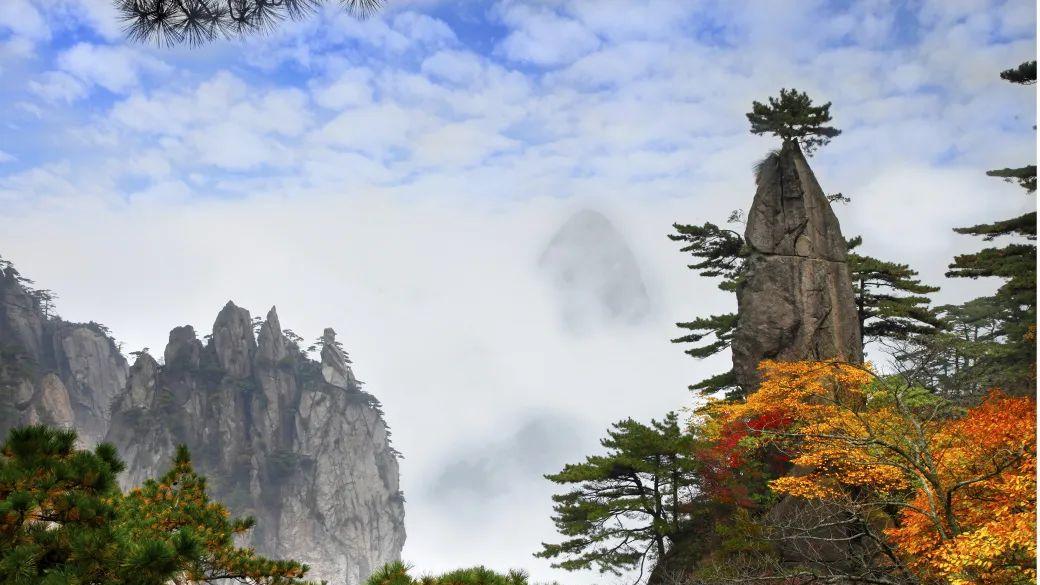 游山川|“十一”来黄山拍照拿大奖，黄山寻秋影像季正在进行中