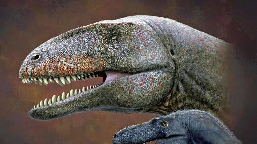 超10米长！南美挖掘出新肉食性恐龙化石！打破南美猎食者纪录