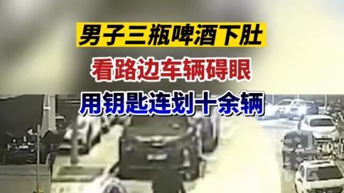 上海，男子喝完酒走在路上看着路边的车子碍眼，拿着钥匙就划了十几辆，随后就被民警给抓