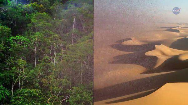 亚马逊|亚马逊雨林无法脱离撒哈拉沙漠而存在