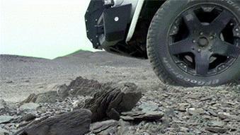 各国卫星观察到：中国新疆“死亡之海”里的聚宝盆越来越大