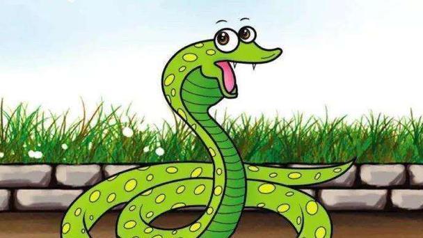 人类天生害怕蛇，仅因为蛇的长相恐怖吗？