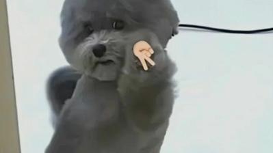 大学生|放假的大学生变身小镇“刺头”，不是在挑事，就是在去挑事的路上