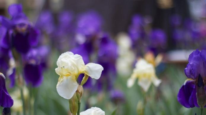 |好事需要多磨，终于找到了合适的新工作