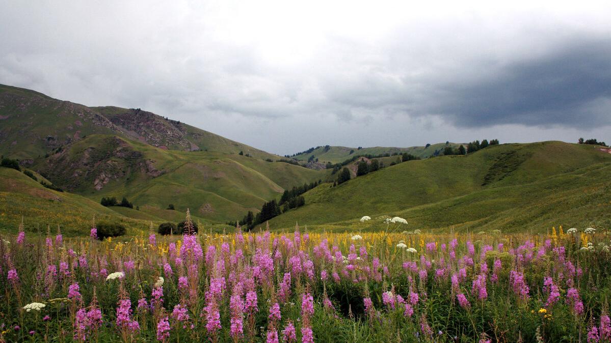 琉球国全图|被央视点名的“中国净土”，有军队驻扎在此，至今不对外开放