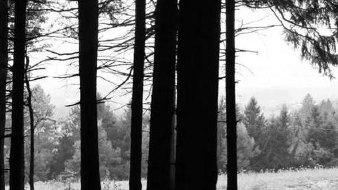 2008年，弟弟被杀“托梦”告知姐姐埋尸地点，警方：真找到了尸体