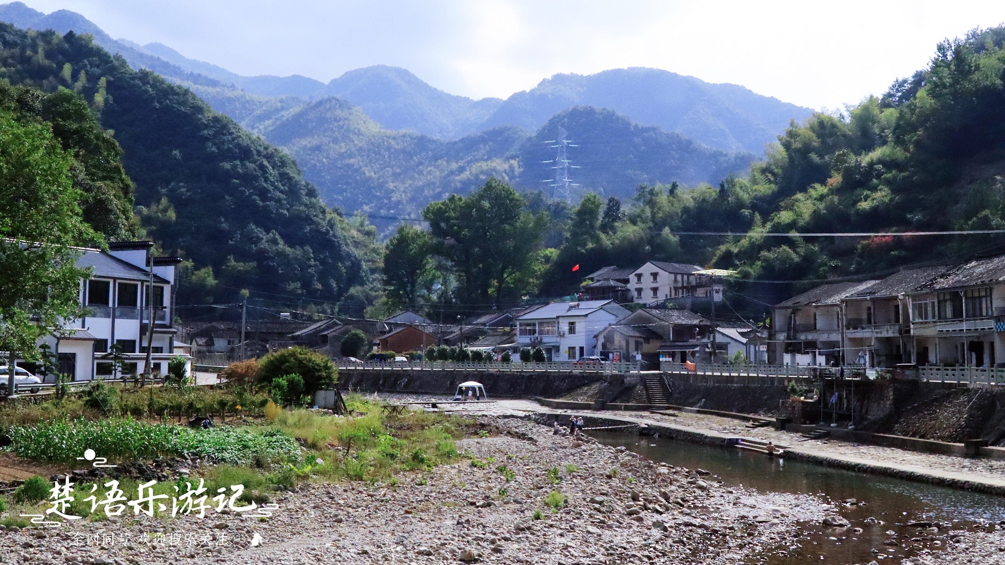 露营|余姚这个古村竟有三处玻璃道，林密竹茂成消夏佳地，随你怎么玩