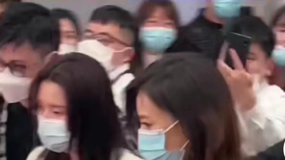 高圆圆|高圆圆，这是怎么个情况？