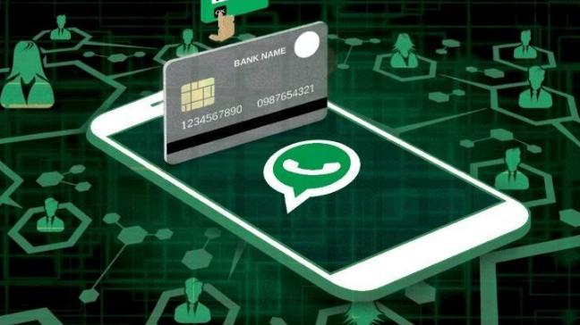 支付宝|印度版“支付宝”生变，马云这回看走眼了？