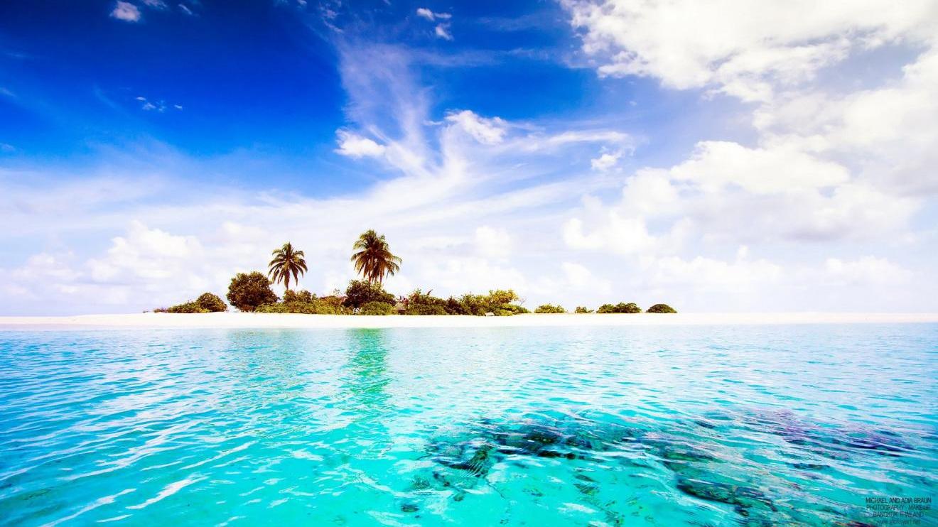 |职场上，不懂得廉耻之心的人，会把领导的利益给占了