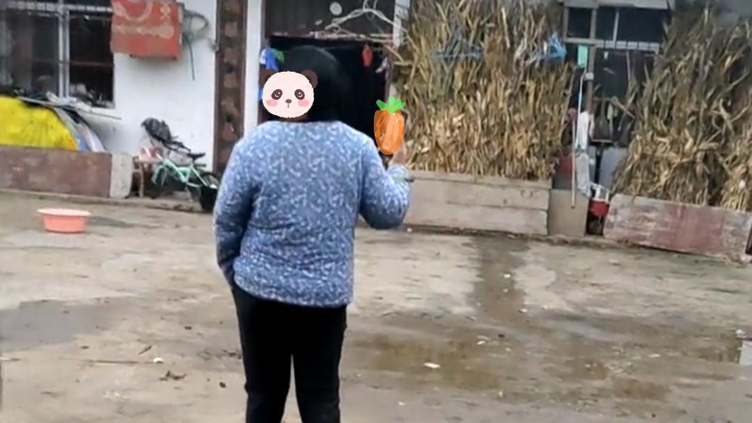 女子去前夫家看孩子，被前婆婆赶出家门，跟孩子说是妈妈不要她