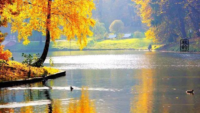 |慢慢走，留驻身边风景