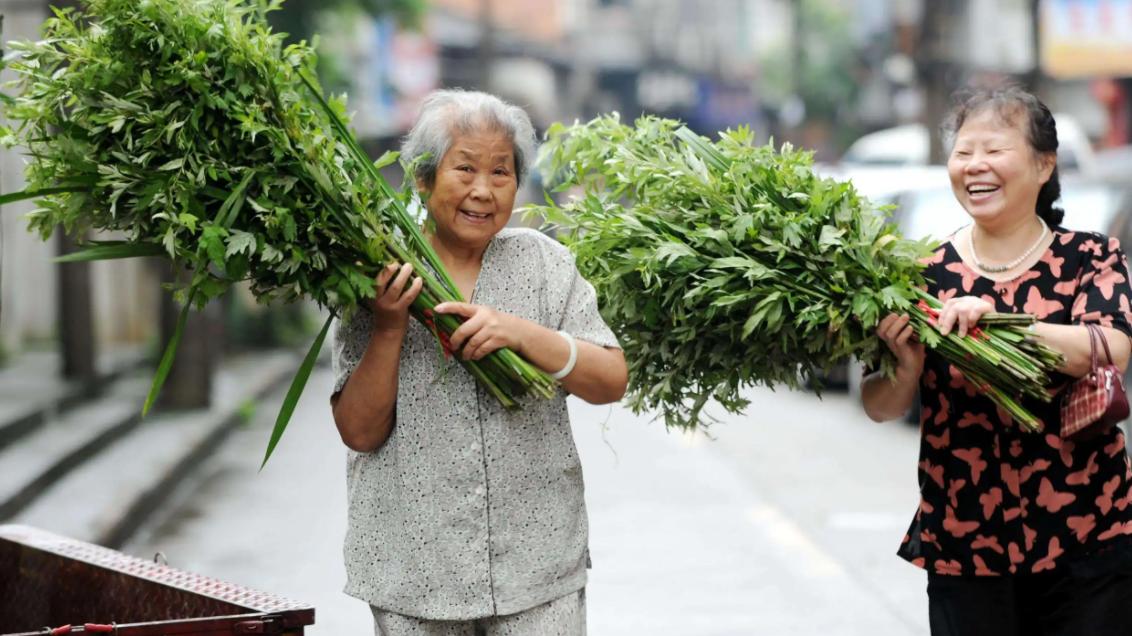 端午节其实是龙的节日！龙是否真存在，为何十二生肖之中也有龙？