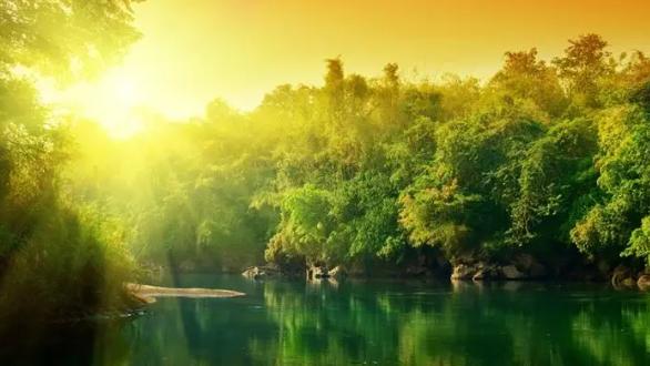 |顺风顺水，生活富足的3属相