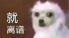 软件|手机黑屏打不开怎么办？这6个原因你中招了吗？