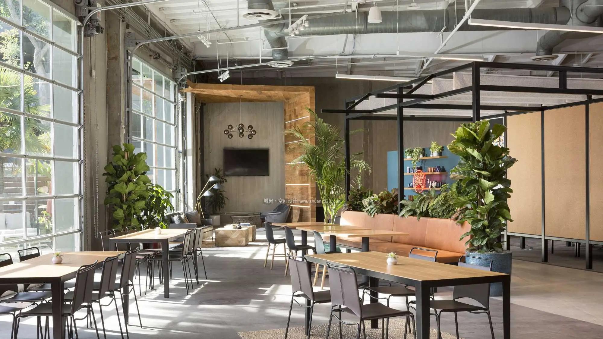 办公室|办公室绿色植物摆放有哪些讲究