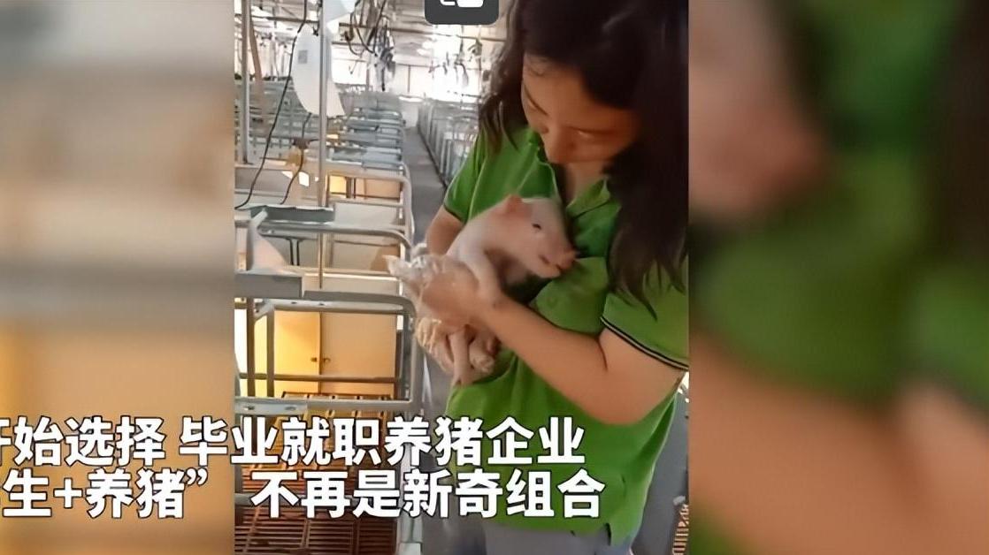 内卷|00后毕业养猪因不想内耗，这一次，逃离内卷，不整顿职场了