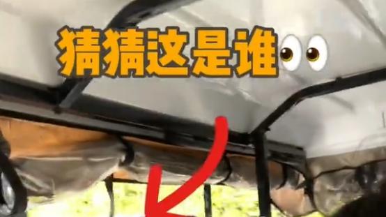 霍思燕|霍思燕和好友海边度假，戴粉色蕾丝面罩穿抹胸泳衣，全身又白又嫩