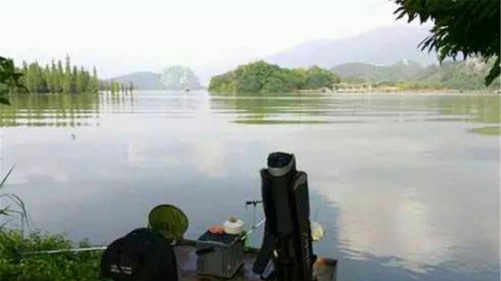 |白露过后野钓，3选3不选，节气更替，钓鱼技巧跟着变