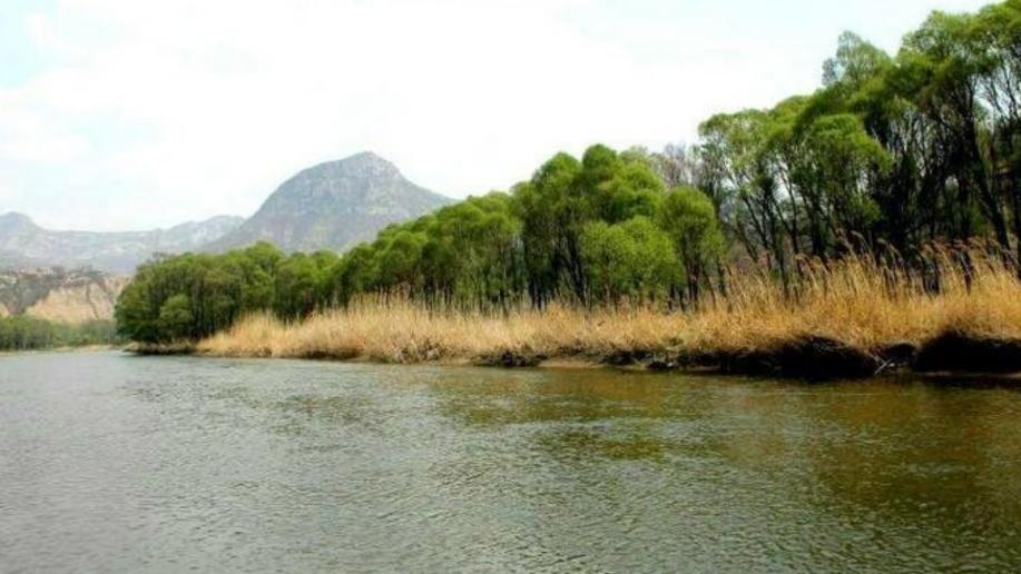 柳树|每年初春这里欢声笑语热闹非凡，此处就是柳树湾，坐落在淮安市