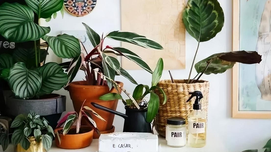 家装含铅问题不能忽视！教你4招避免铅中毒，保护家人健康