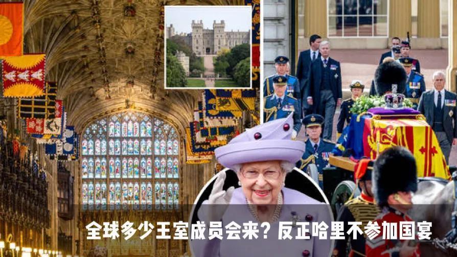 哈里梅根被拒绝参加国宴，全球王室包括日本天皇也将出席