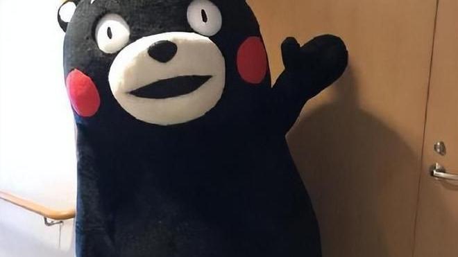 定制衣柜为什么要用橡木？ENF橡芯板受欢迎的原因...