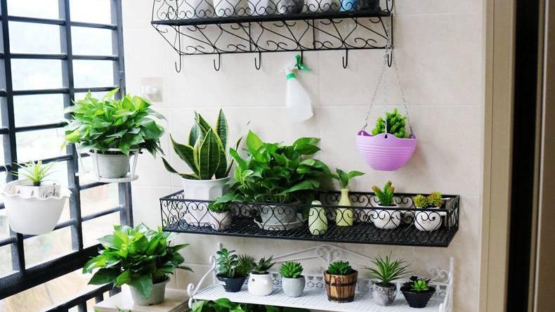 小户型阳台怎么设计，这几种设计方式，让小阳台也有大作为