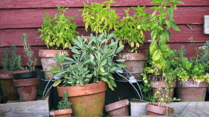 雨季蚊子多，这几种灭蚊方式要小心！