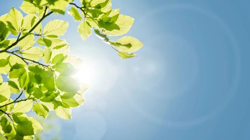 电池|终于好起来了！