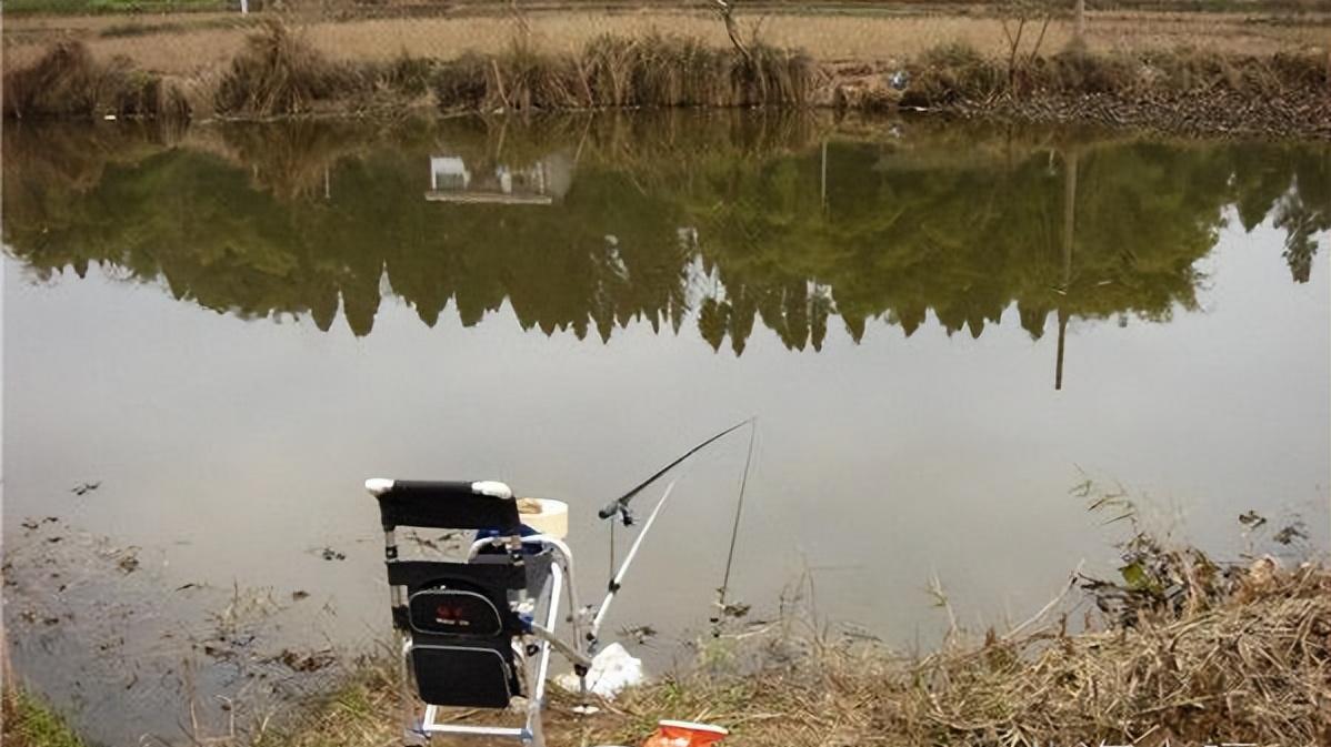 深水区|新手学野钓，该学习哪些事项？学会这几点助你快速成才
