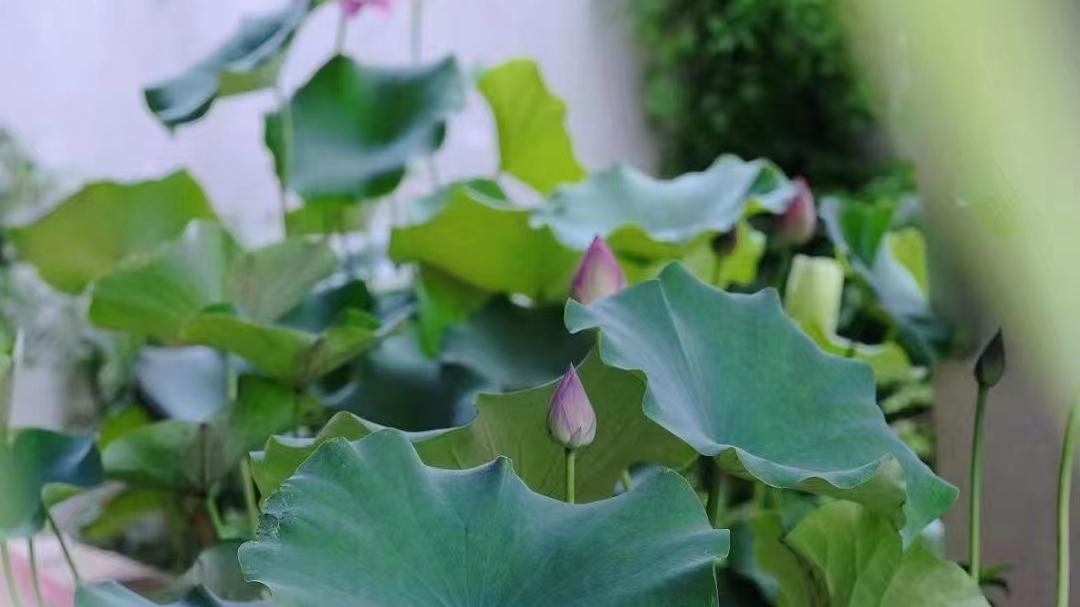 美团|网络营销对于企业来说能解决什么问题