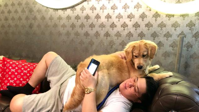 破产|香港10亿太子爷被申请破产，女星王灏儿相恋5年豪门梦碎