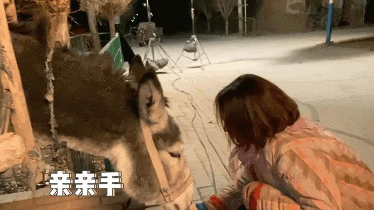 海清|《隐入尘烟》登上柏林电影节提名名单，海清上农村呆上一年