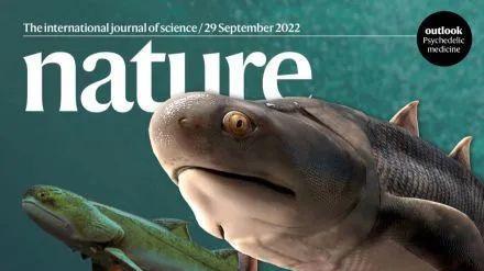 重大发现！《自然》封面：中国科学家发现世界级化石库，揭秘“从鱼到人”关键环节