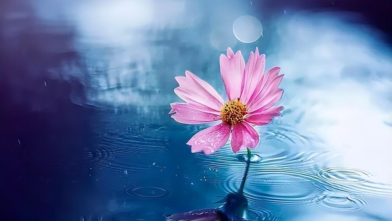 柿子|不想被人当软柿子捏，牢记这几句话