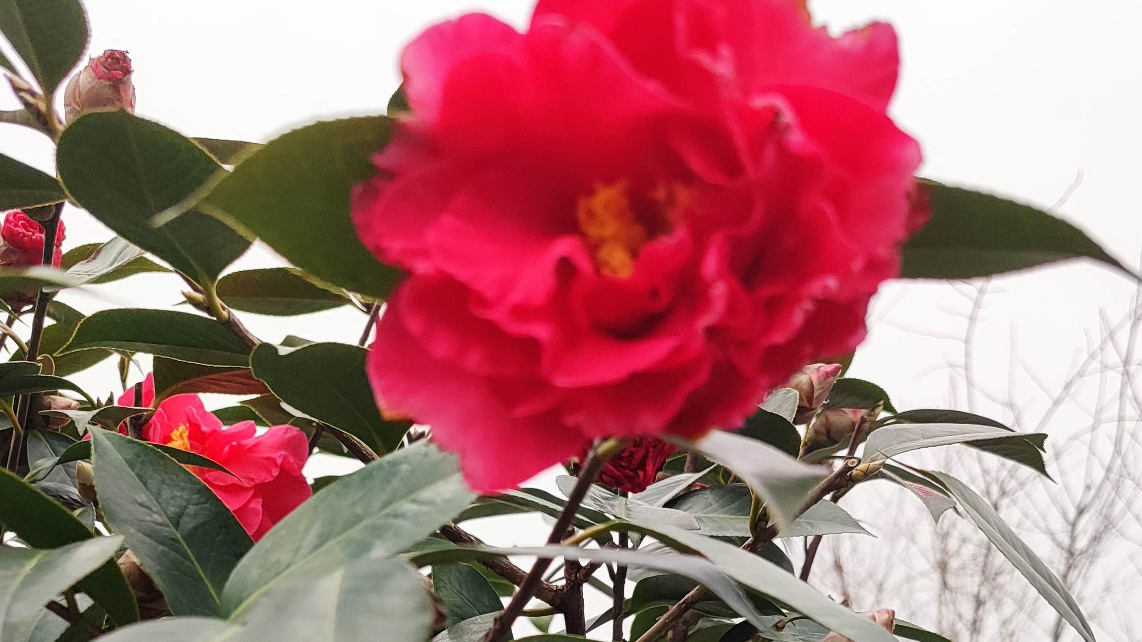 深圳市|你自己对自身的认可，就会通过你自己表现出来