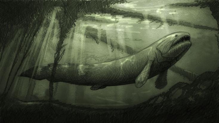 石炭纪的希氏根齿鱼到底有多恐怖？