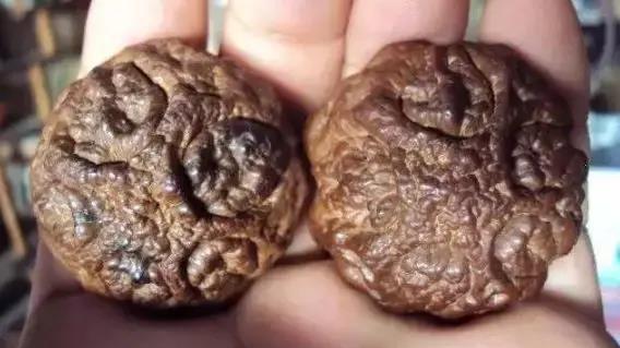 文玩|又一种恶心文玩出现了，据说带屎越多越值钱！