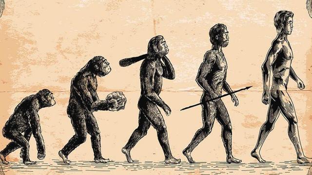 美国耶鲁大学最新研究：进化是可以预测的