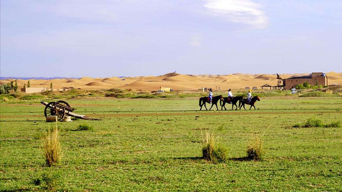 |国内的22个值得去的大草原，有大众也有小众，你都去过吗？