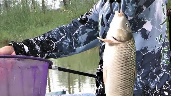 |子线对钓鱼有什么影响？原来钓法、目标鱼不同，子线长短也不同