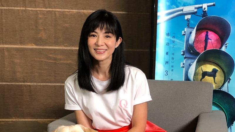 杨采妮|杨采妮是个完美女神