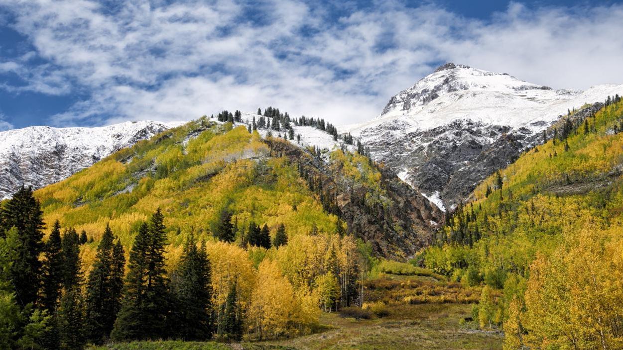 属牛|未来1个月事业顺风顺水，财帛开始旺盛，职场得到赏识的三大属相