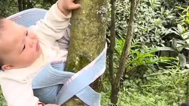 云南一奶奶下地干活又想照顾孩子，10个月大婴儿被绑树上不哭不闹