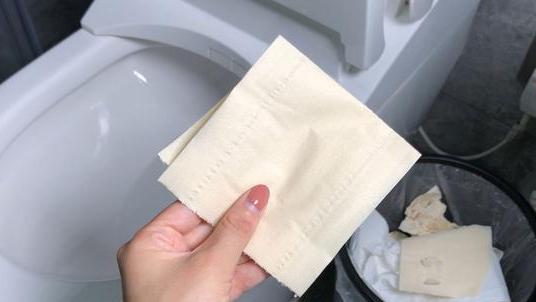 上完厕所后，卫生纸该扔到马桶还是扔纸篓里？答案在这里！