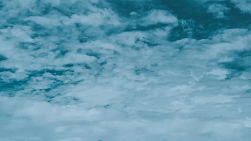 生肖|壬寅年每日生肖运势12月1日