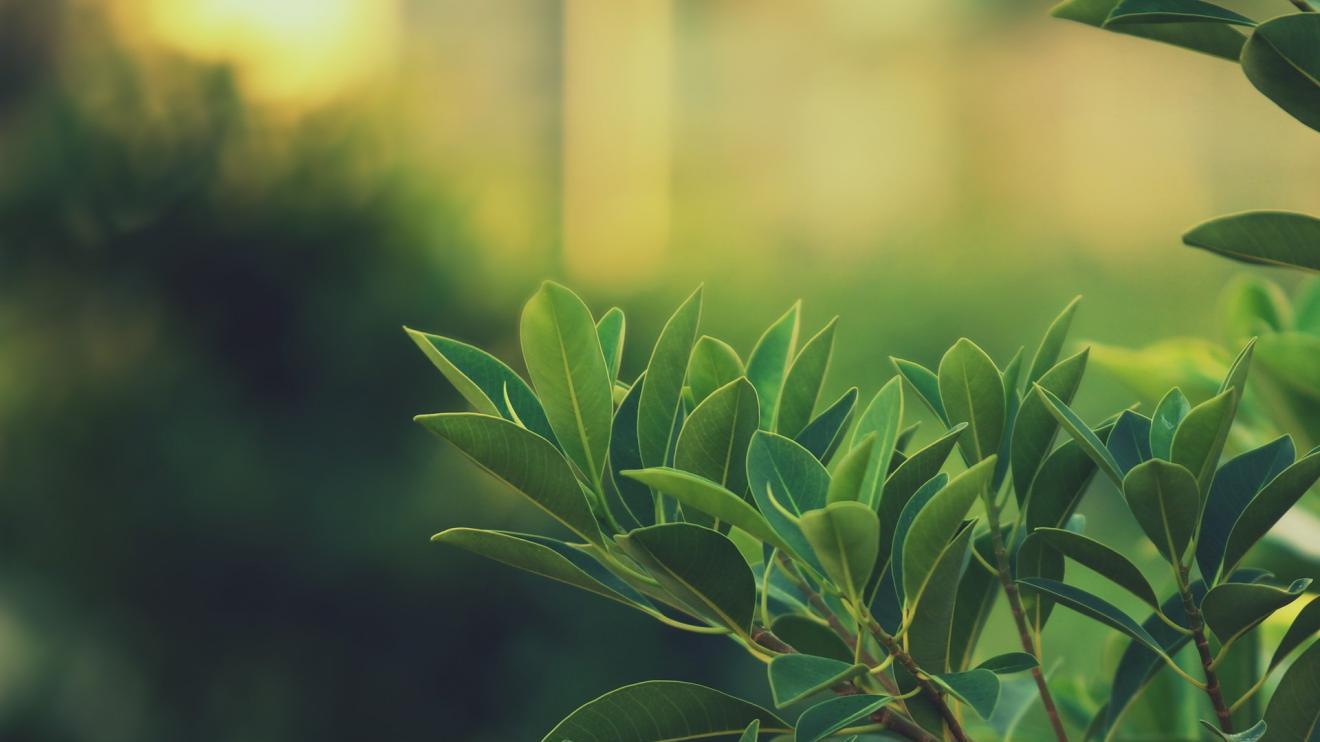 |职场上最具“杀伤力”的人，绝不是虚伪、刻薄之徒