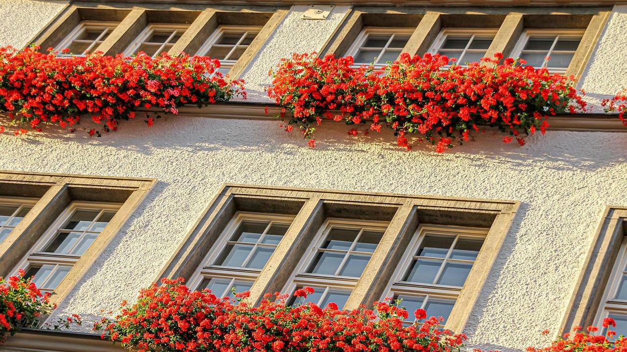 科比·布莱恩特|怀孕才6个月，公婆就帮我计划上班！只能说家有穷病，就遭罪吧！