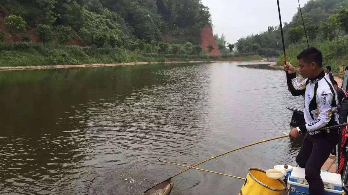 |钓鱼刚入门，鱼竿该如何选择？用调性去衡量会比较准确